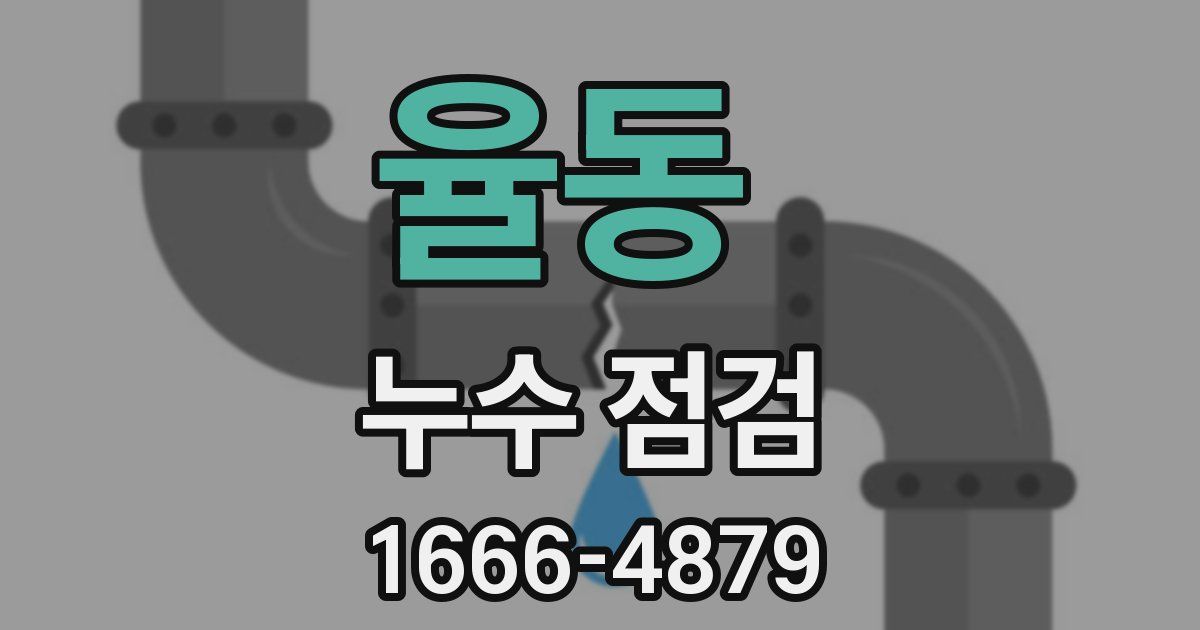 율동 누수 점검