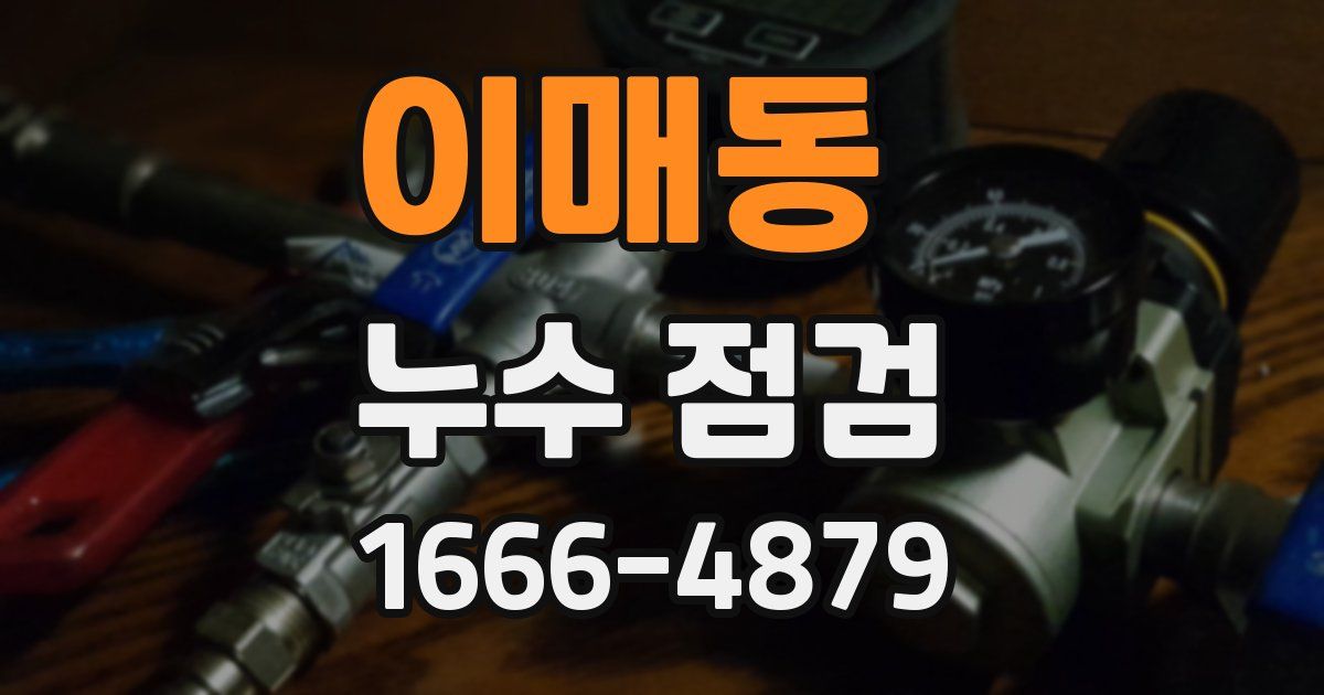 이매동 누수 점검