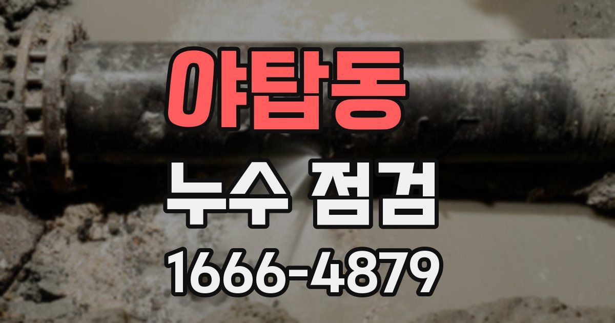 야탑동 누수 점검
