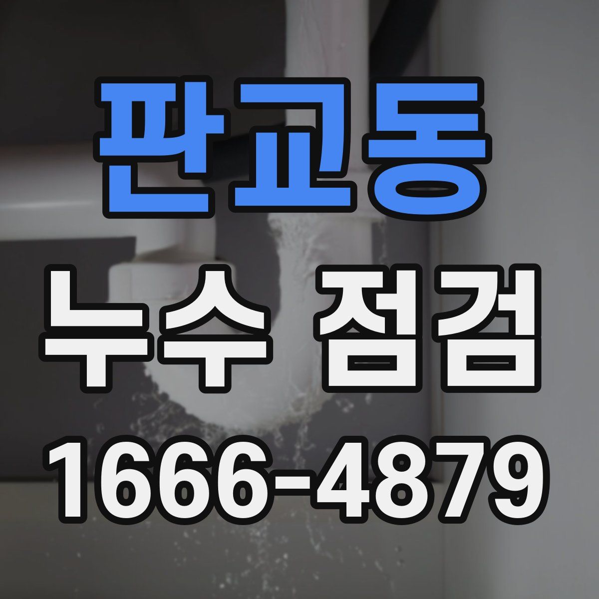 판교동 누수 점검