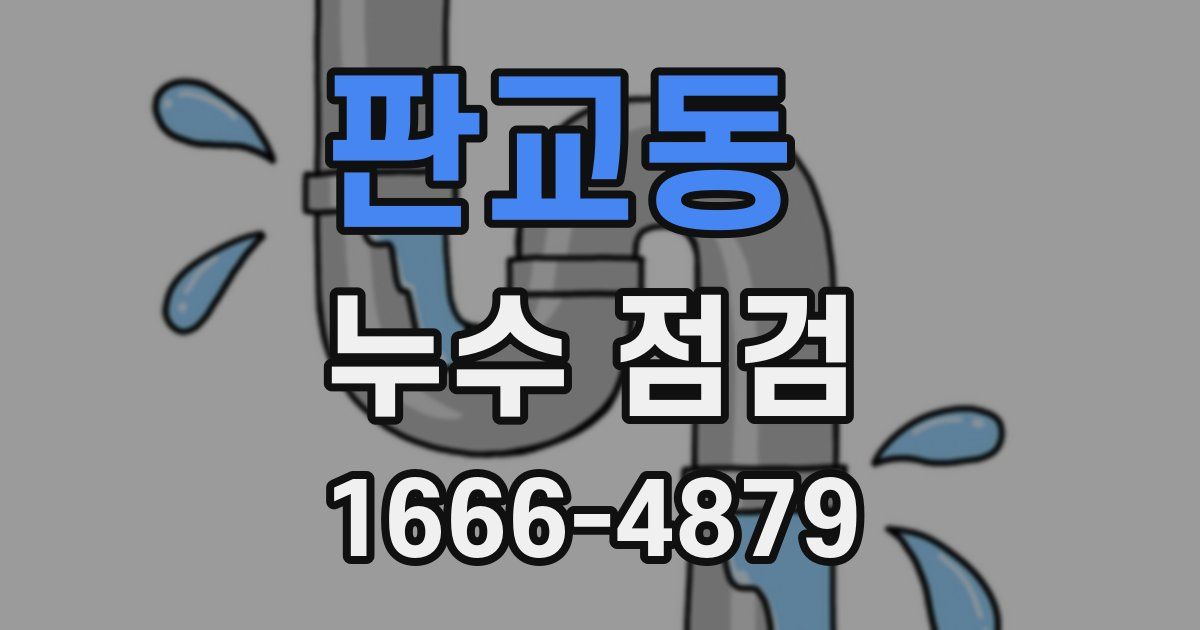 판교동 누수 점검