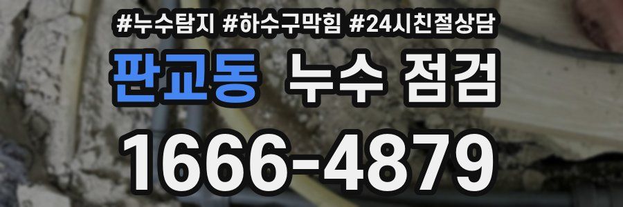 판교동 누수 점검