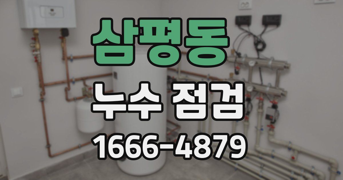 삼평동 누수 점검