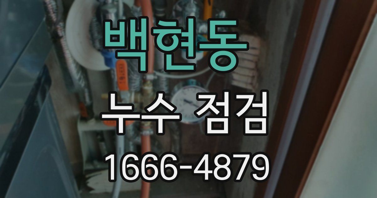 백현동 누수 점검