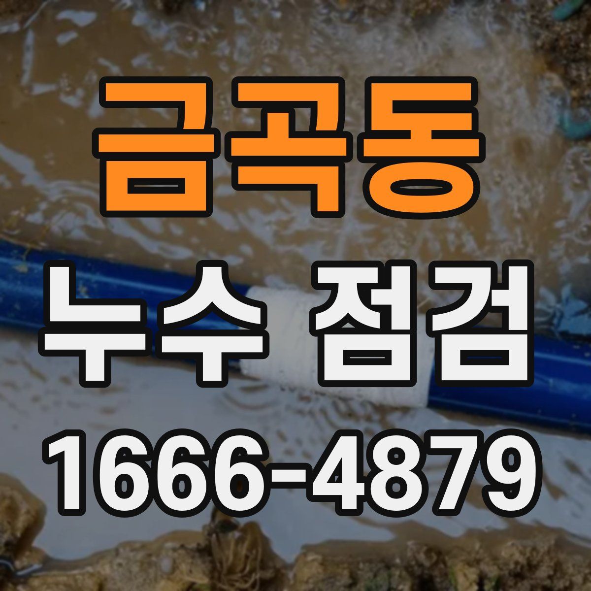 금곡동 누수 점검
