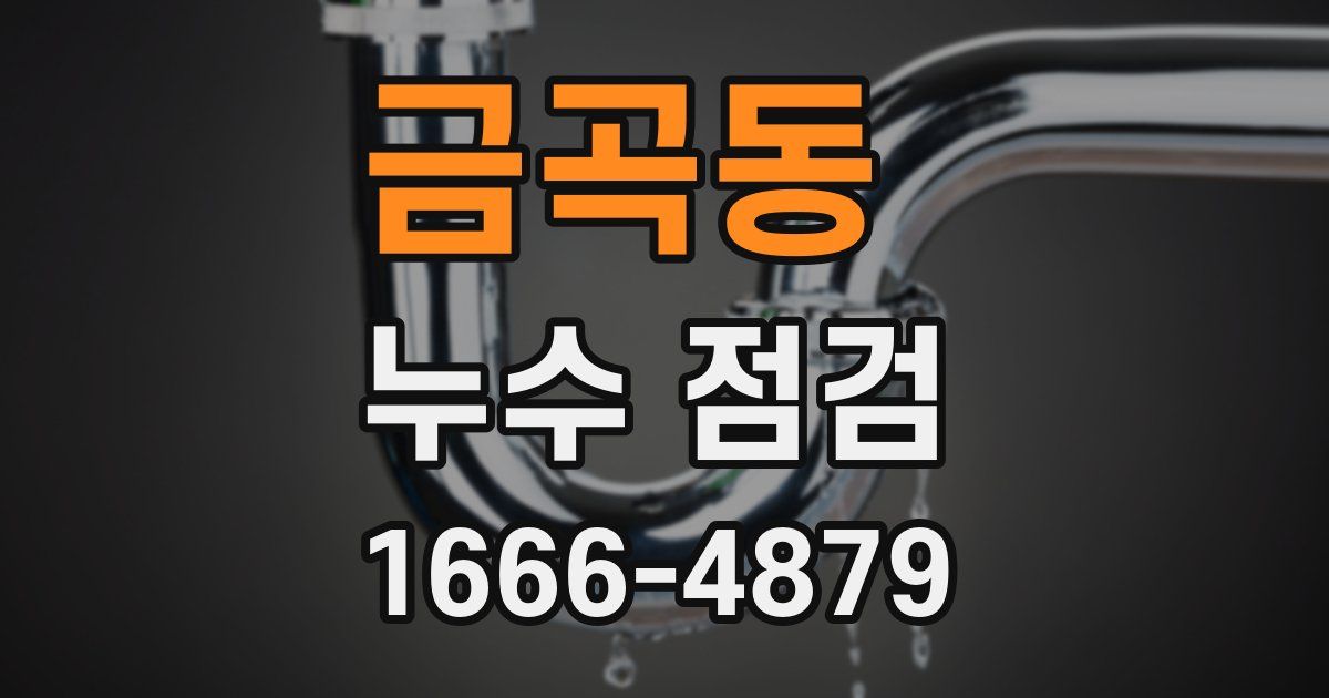 금곡동 누수 점검