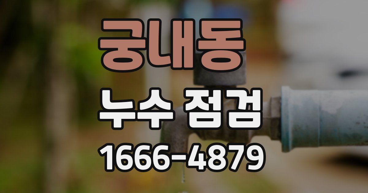 궁내동 누수 점검