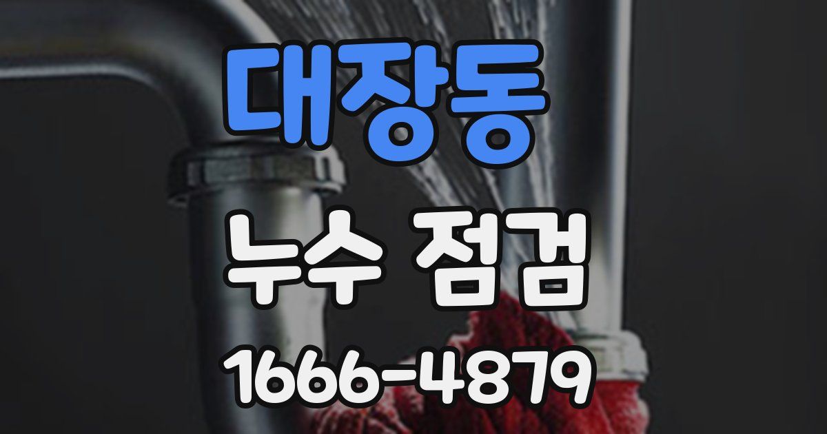 대장동 누수 점검