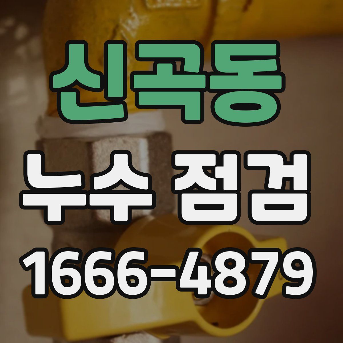 신곡동 누수 점검