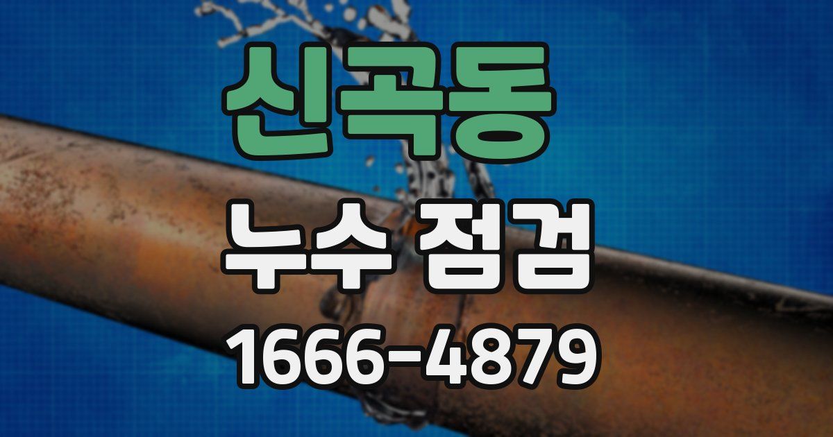 신곡동 누수 점검