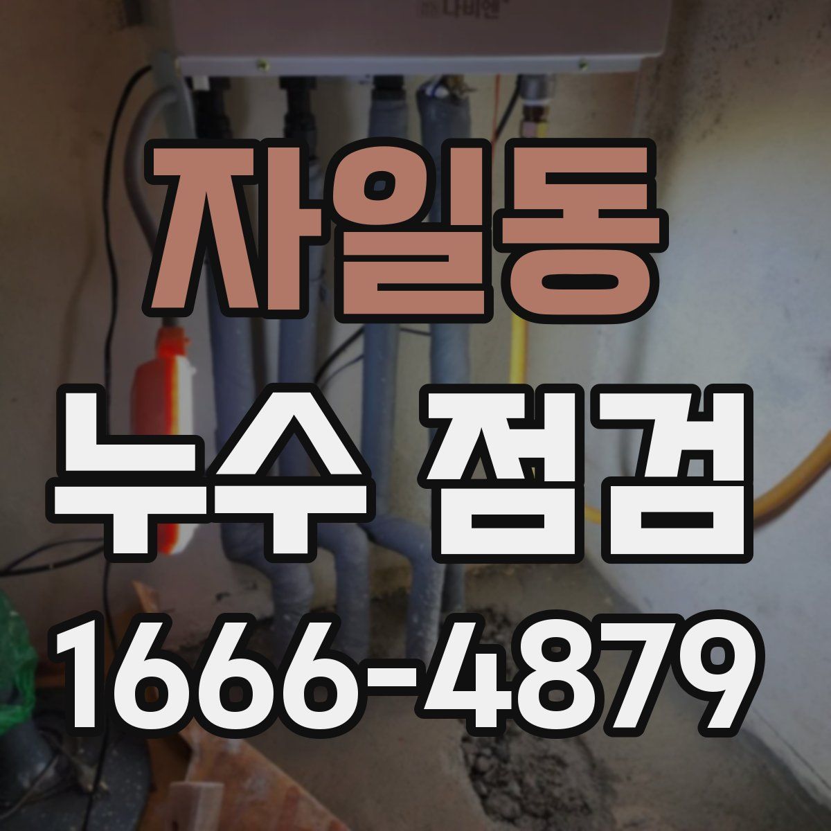 자일동 누수 점검