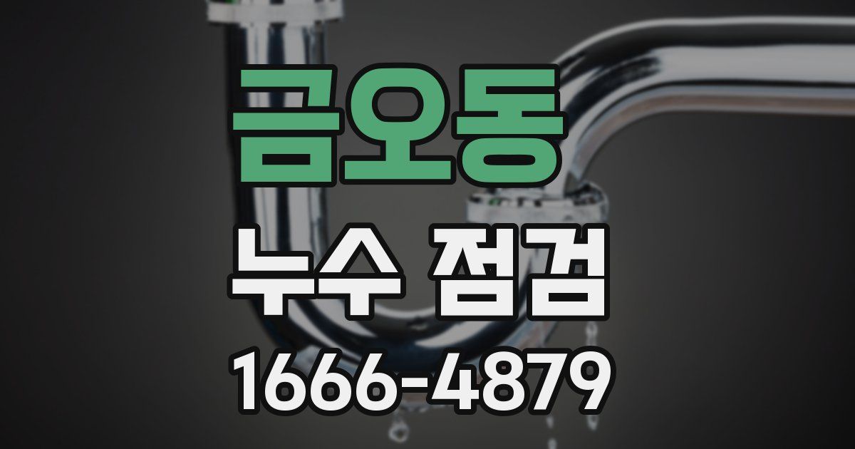 금오동 누수 점검