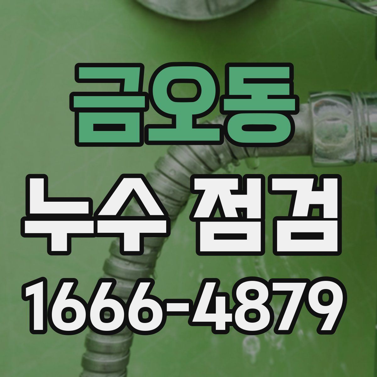 금오동 누수 점검