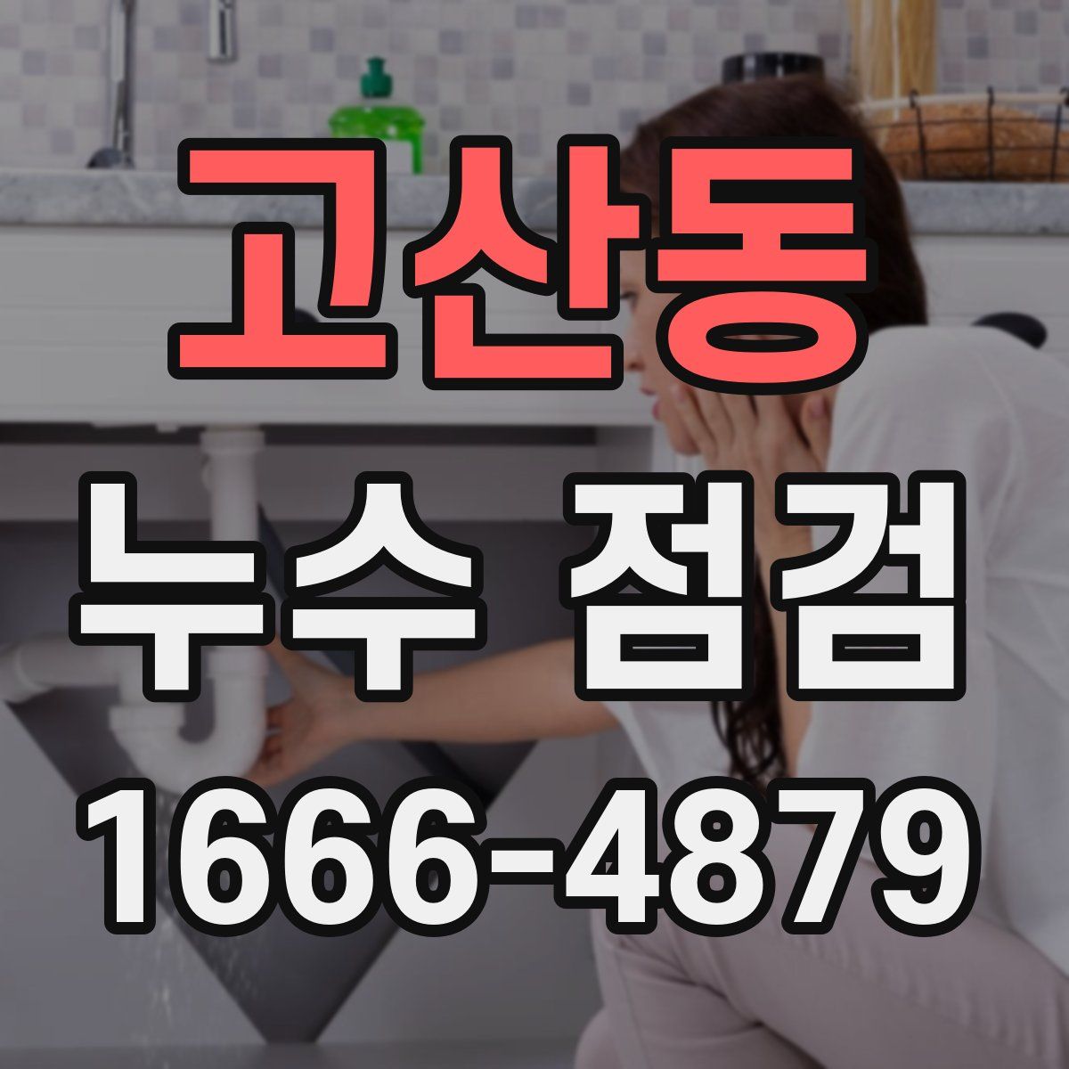 고산동 누수 점검