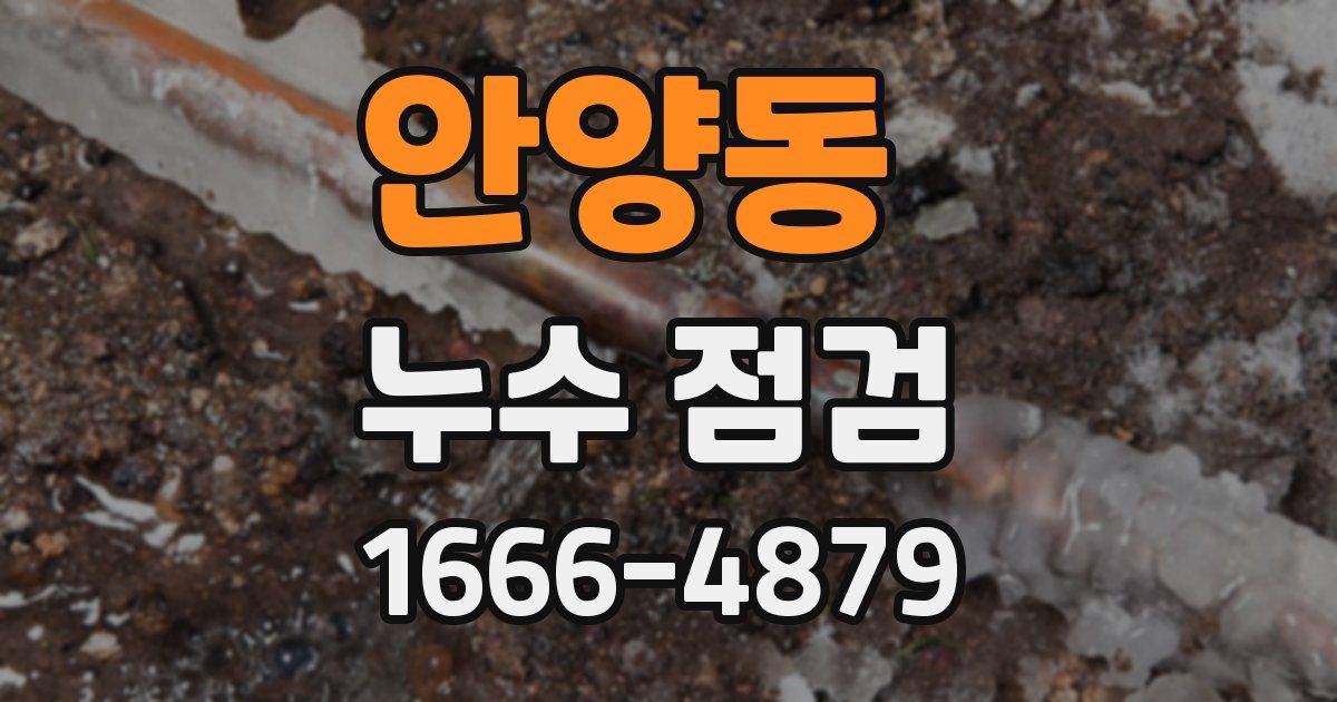 안양동 누수 점검