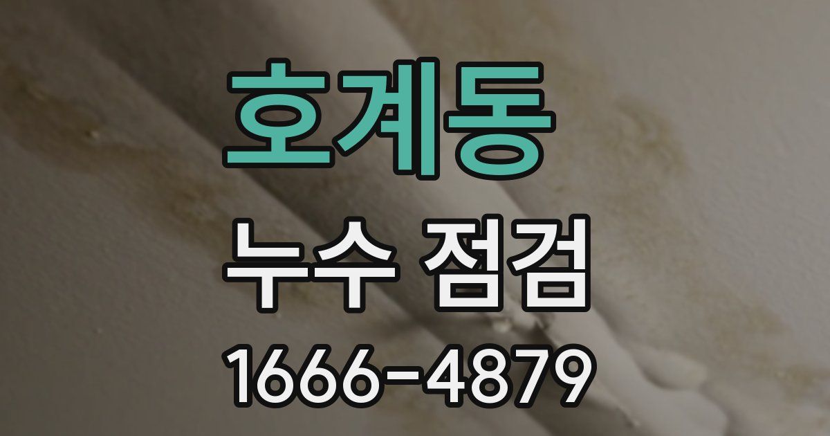 호계동 누수 점검