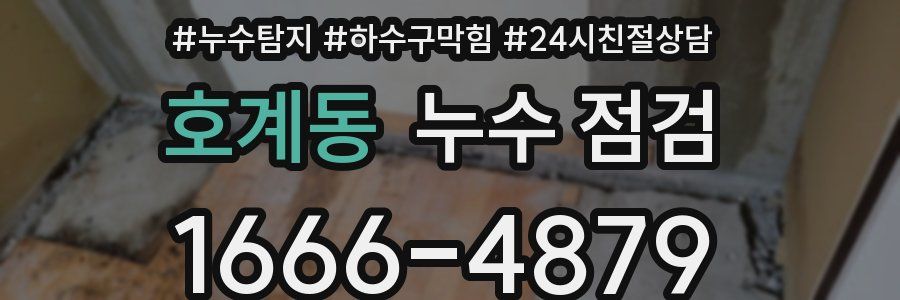 호계동 누수 점검