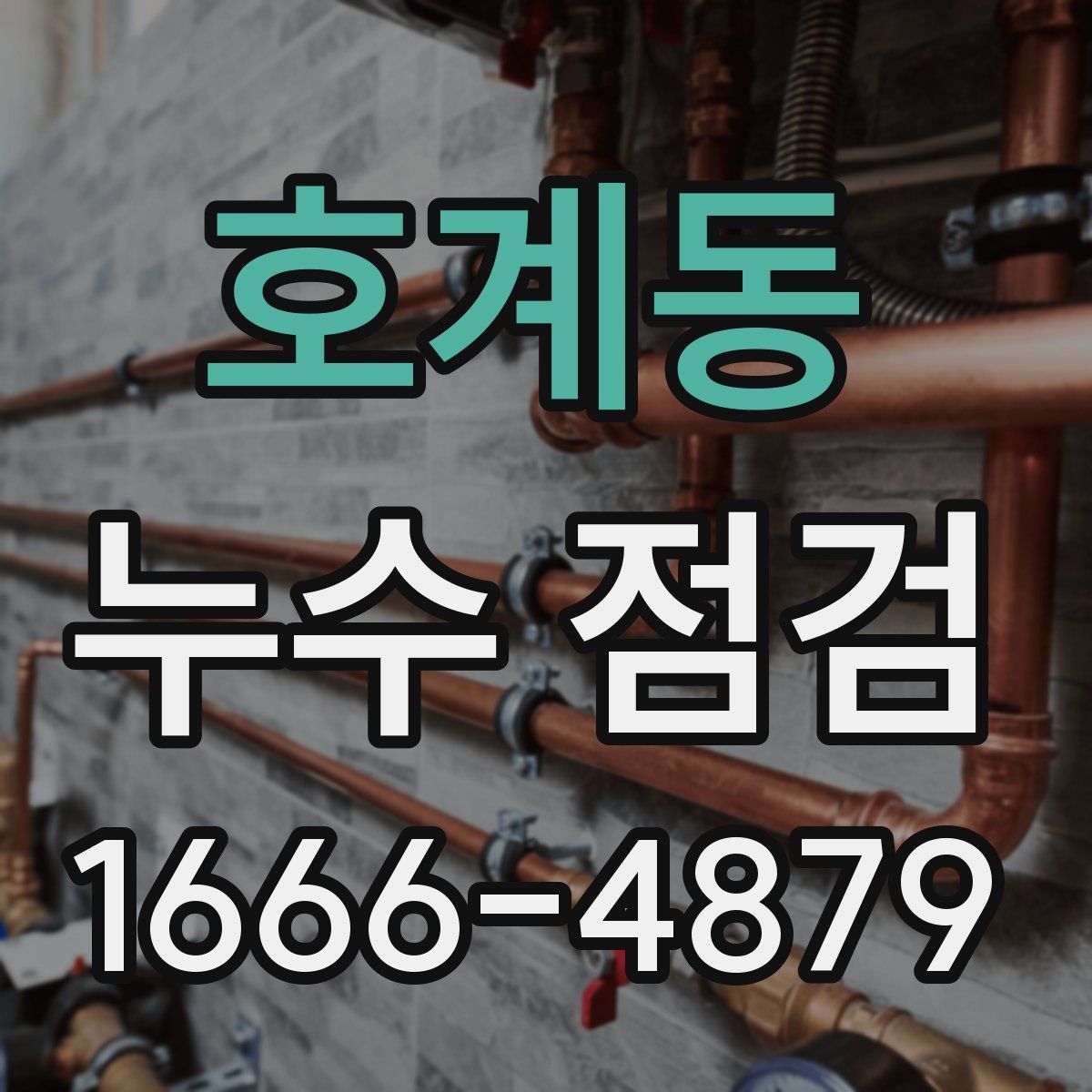 호계동 누수 점검