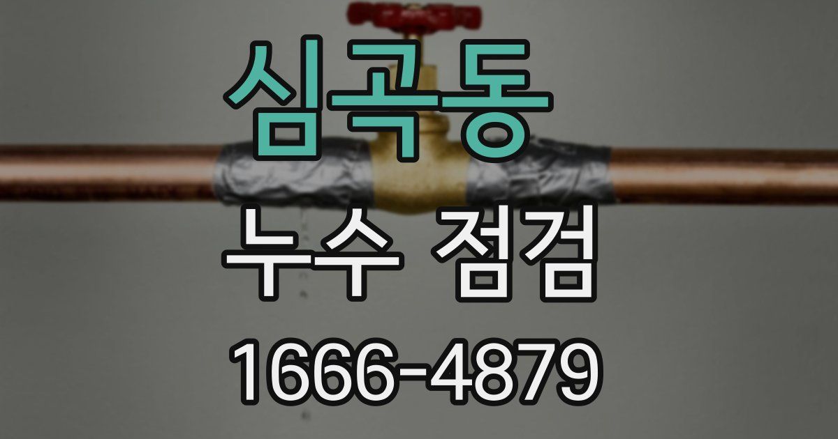심곡동 누수 점검