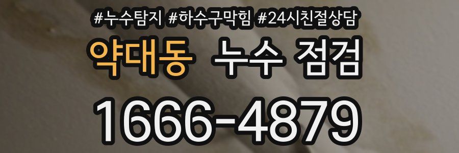 약대동 누수 점검