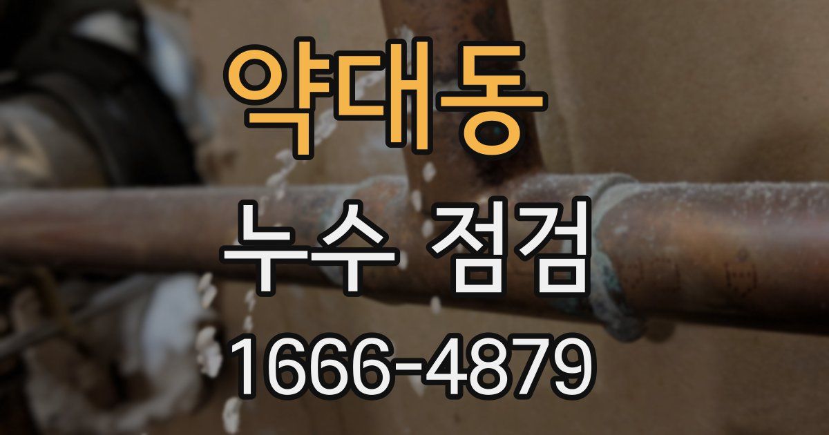 약대동 누수 점검