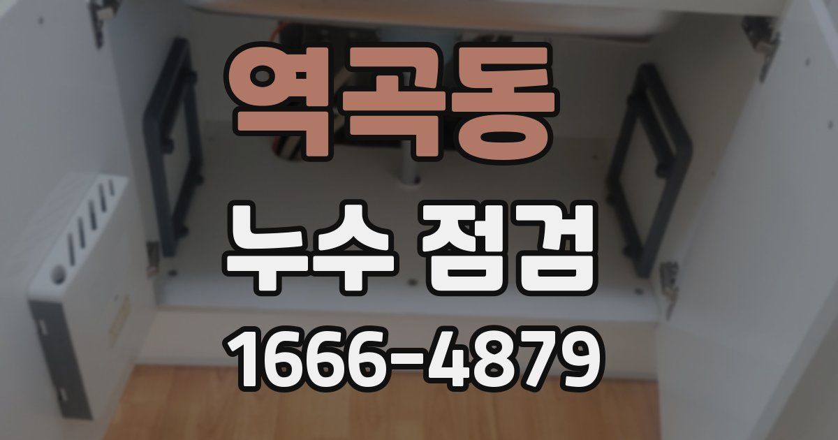역곡동 누수 점검