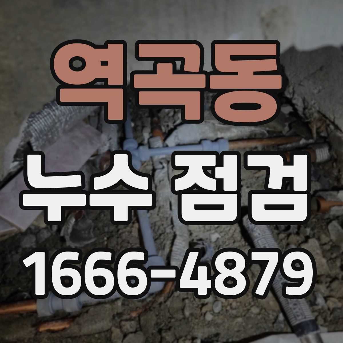 역곡동 누수 점검