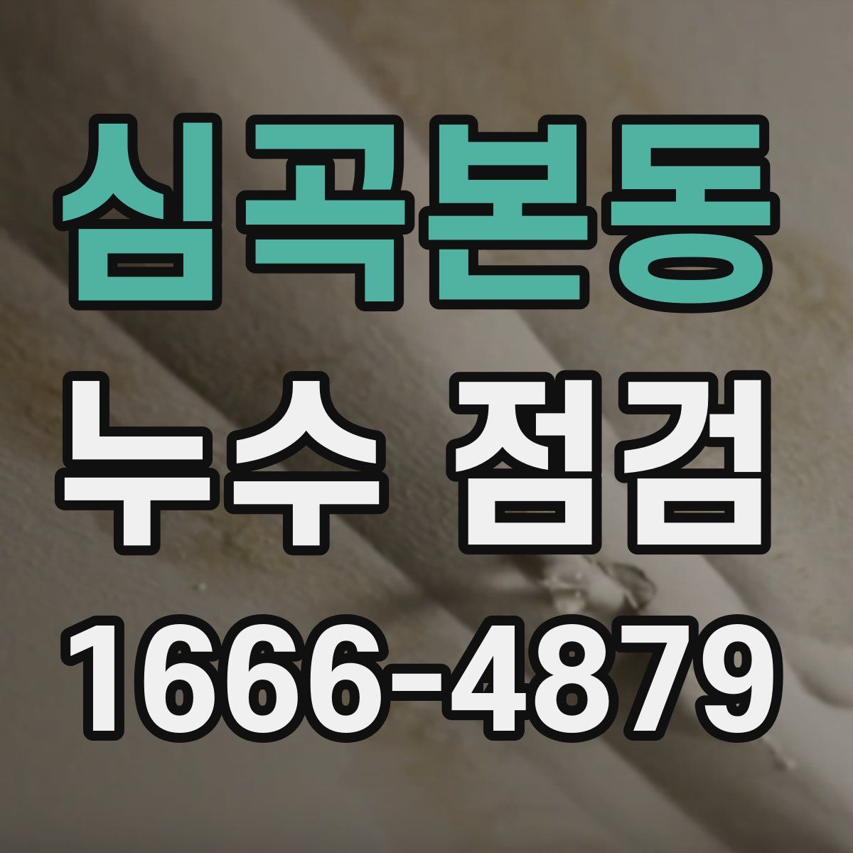 심곡본동 누수 점검
