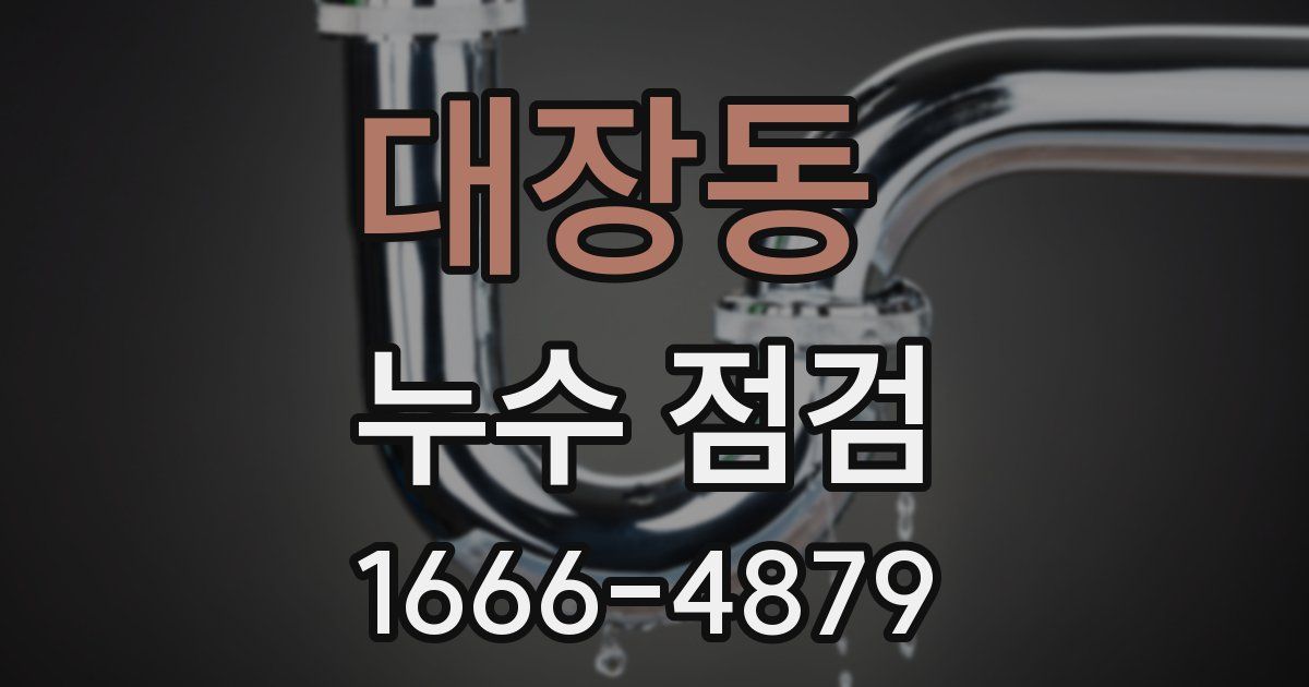 대장동 누수 점검