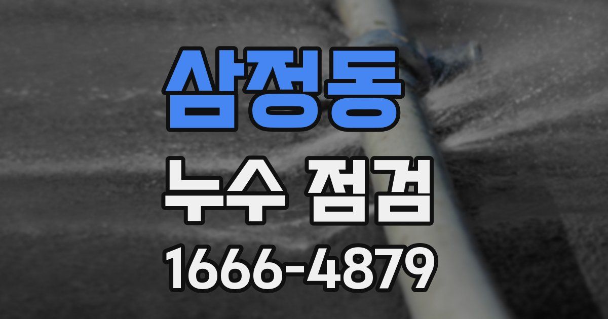 삼정동 누수 점검