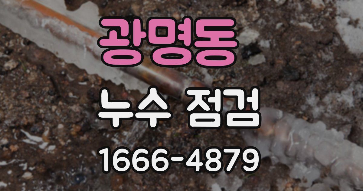 광명동 누수 점검