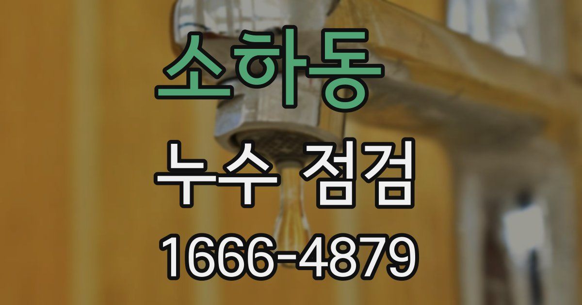 소하동 누수 점검