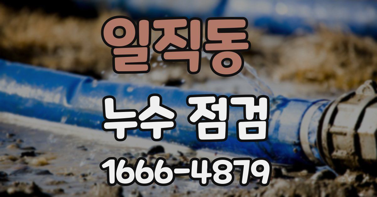 일직동 누수 점검