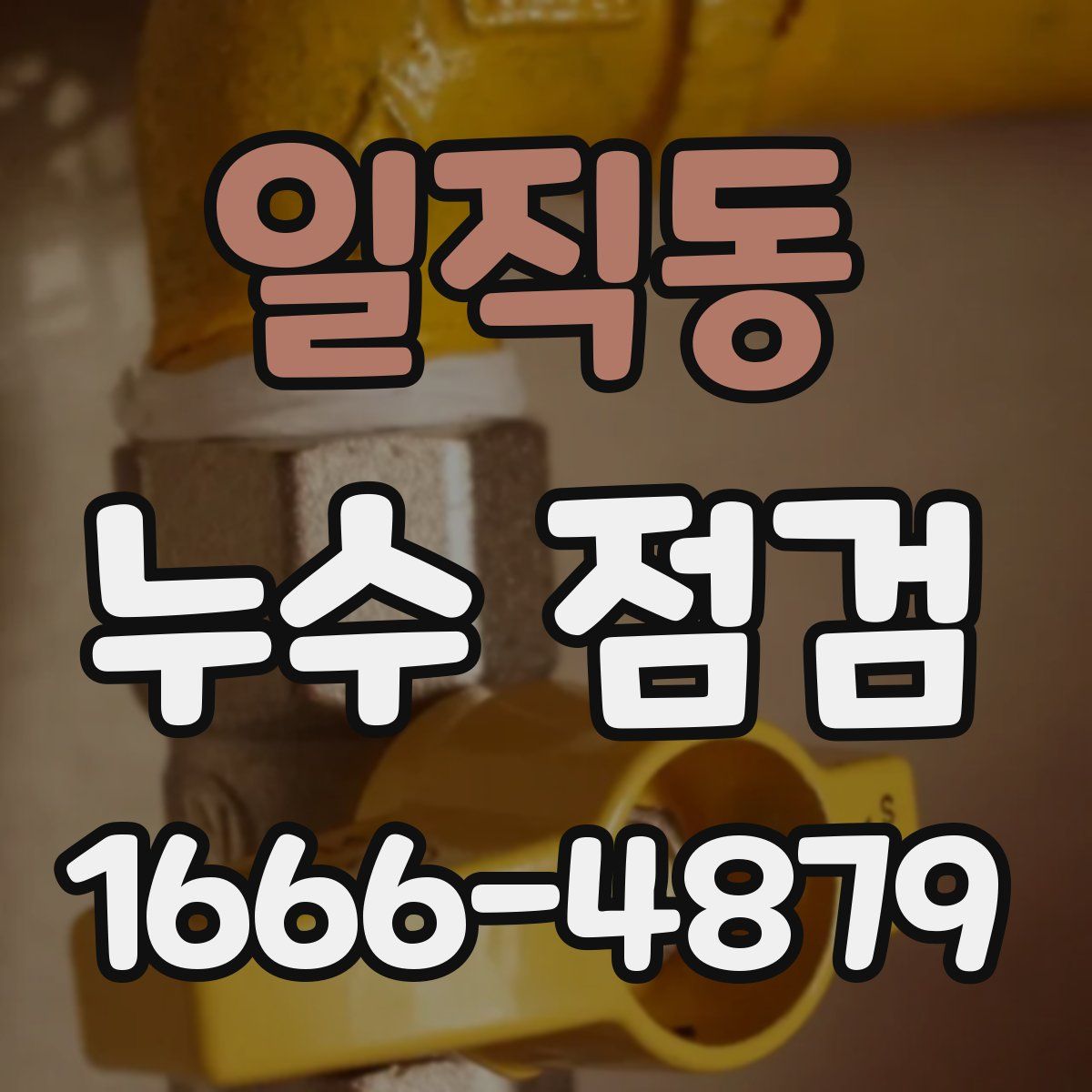 일직동 누수 점검