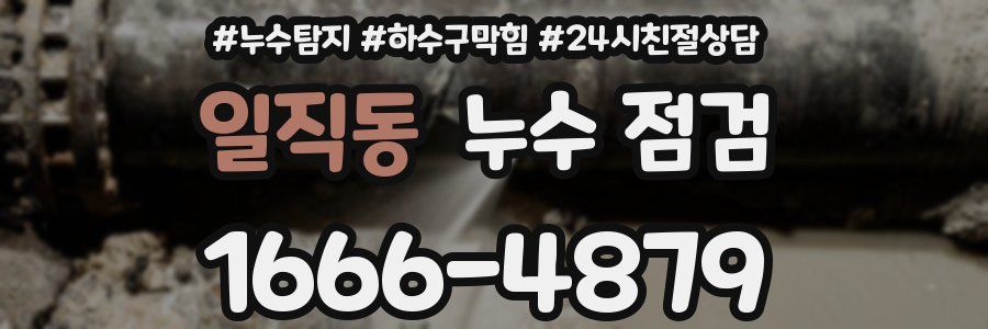 일직동 누수 점검