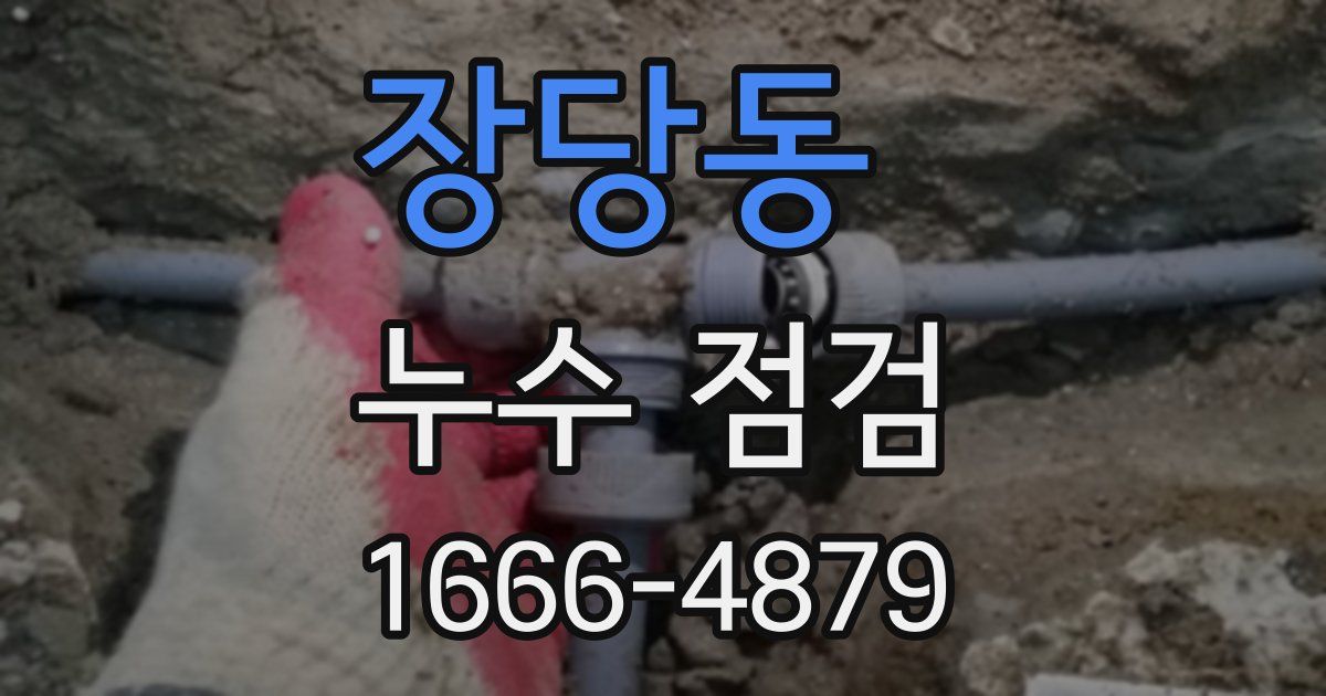 장당동 누수 점검