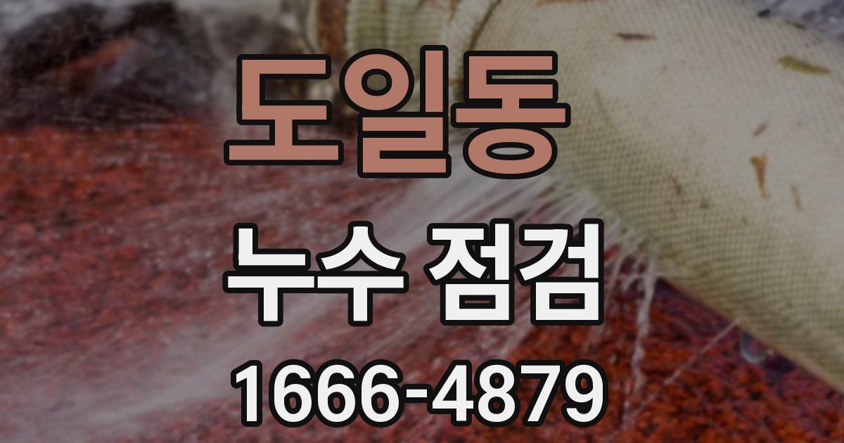 도일동 누수 점검
