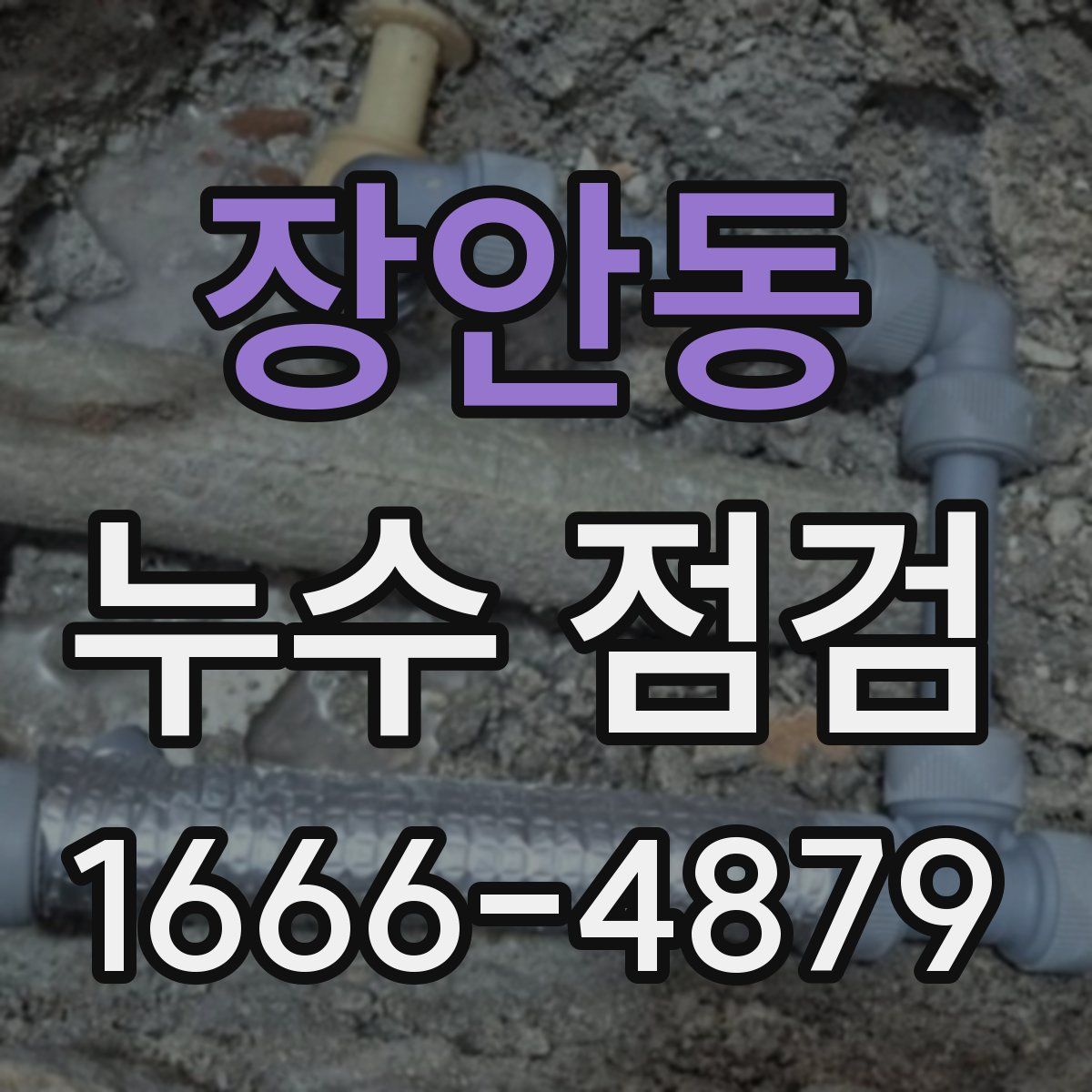 장안동 누수 점검