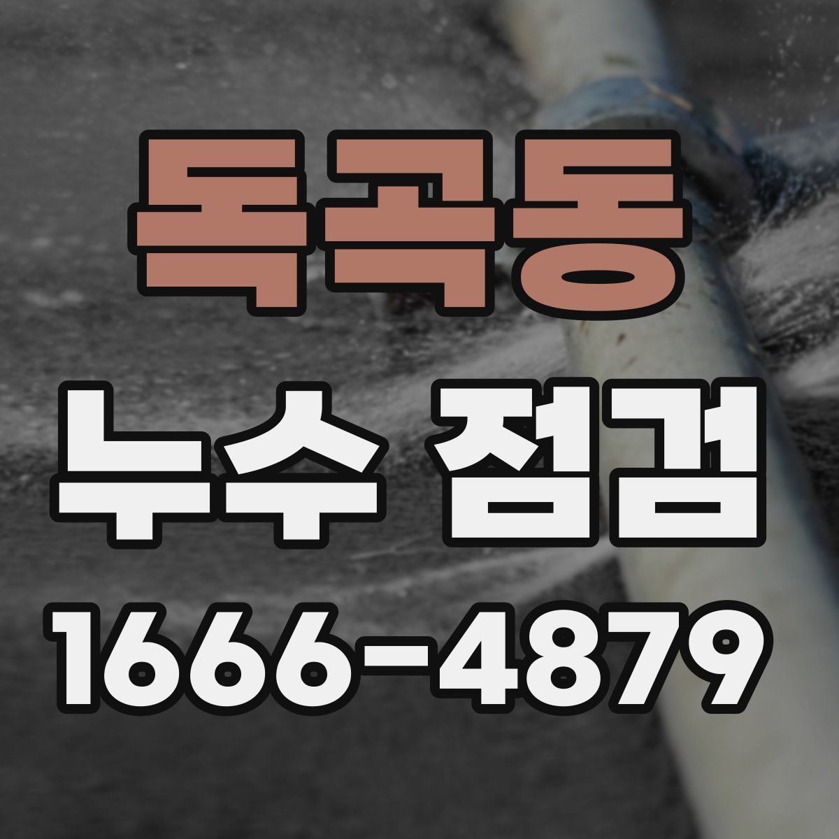 독곡동 누수 점검