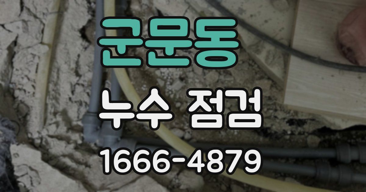 군문동 누수 점검