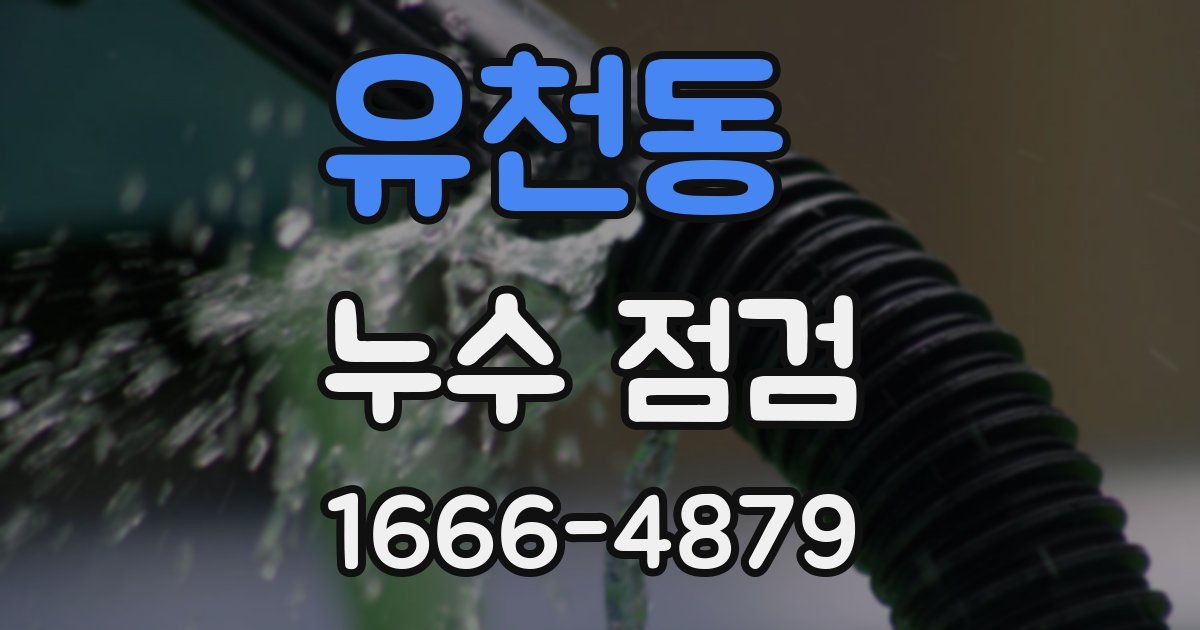 유천동 누수 점검
