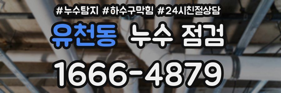 유천동 누수 점검