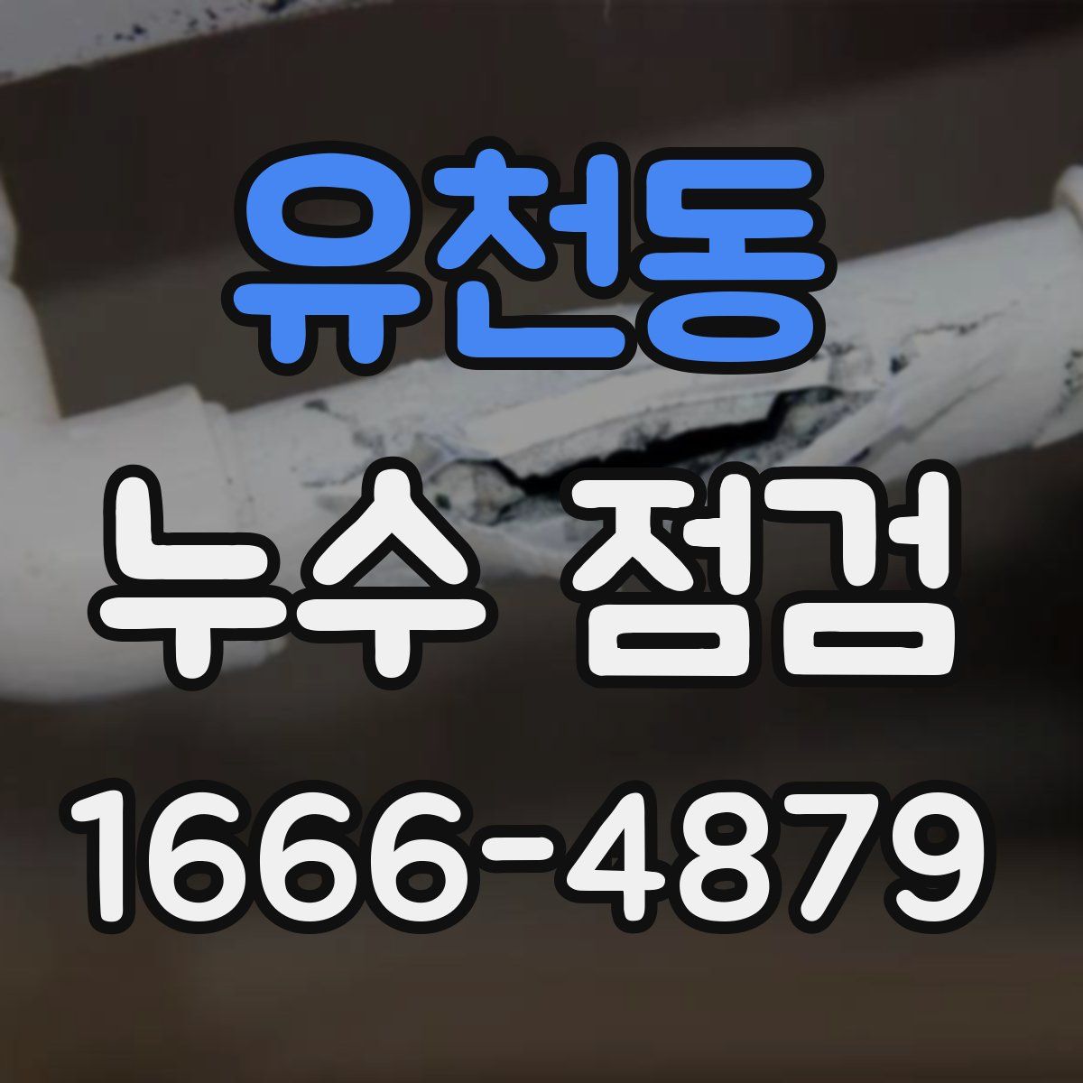 유천동 누수 점검