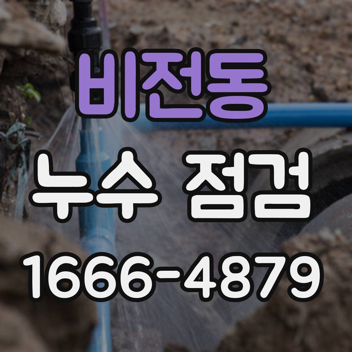 비전동 누수 점검