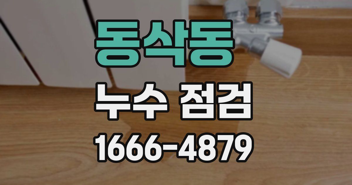 동삭동 누수 점검