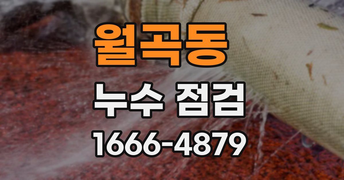월곡동 누수 점검