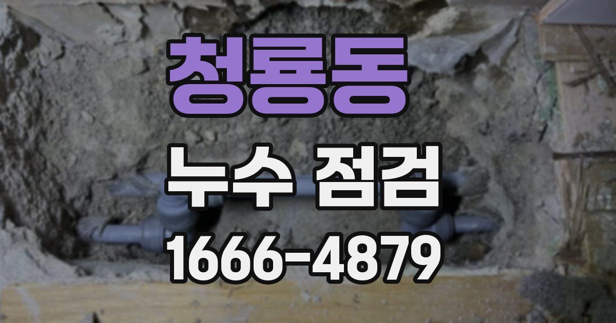 청룡동 누수 점검