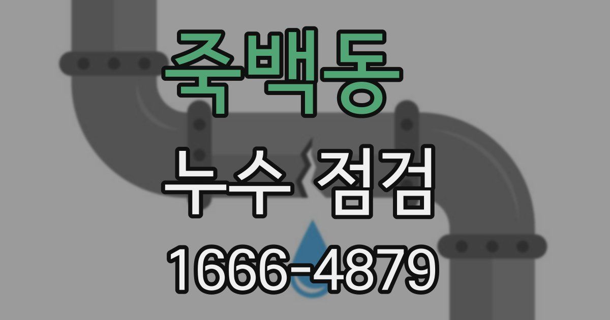죽백동 누수 점검