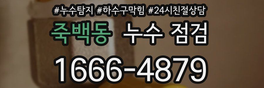 죽백동 누수 점검