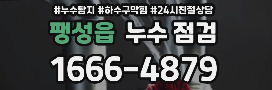 팽성읍 누수 점검